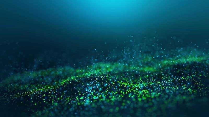 Program header