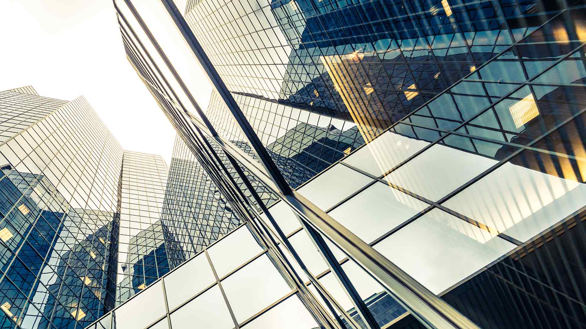 Accredited Appoints Barbara Bufkin and Patricia Roufca to its Group Board